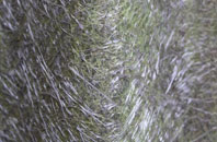 Kinnerton fibreglass roof work